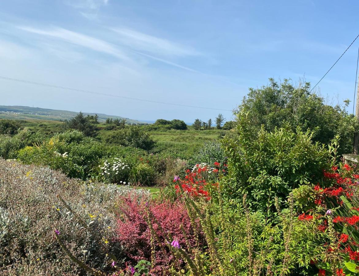 Atlantic Garden Lodge,art &garden