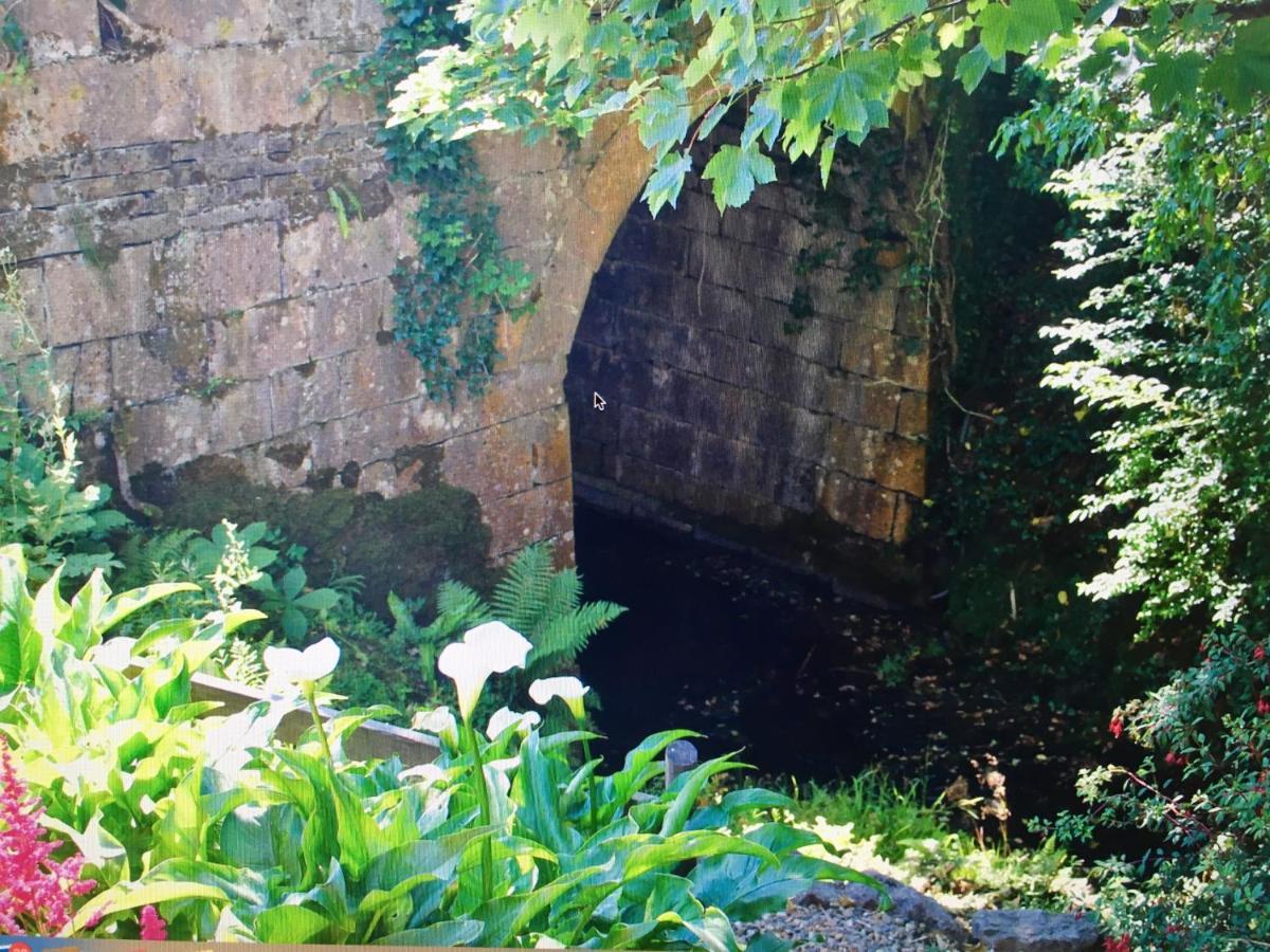 Atlantic Garden Lodge,art &garden